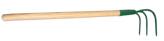 nome